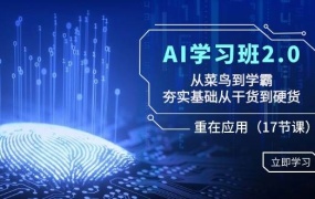 AI学习班2.0:从菜鸟到学霸,夯实基础从干货到硬货,重在应用