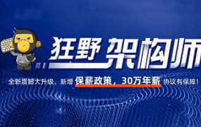 狂野架构师6期