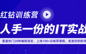 红钻训练营(综合课)