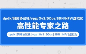 DPDK网络存储虚拟化开发(vpp/OvS/DDos/SDN/NFV/SPDK)