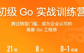 初级go工程师训练营21周
