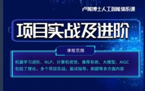 人工智能体系课-进阶部分