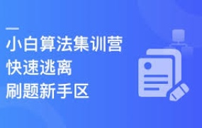 小白算法集训营-大幅提升刷题量,快速逃离新手区(2024)